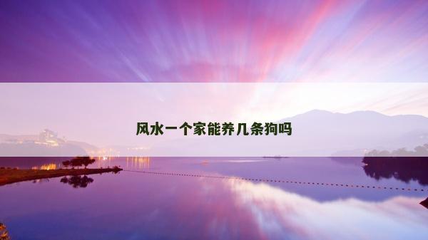 风水一个家能养几条狗吗