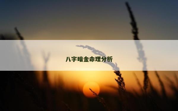 八字暗金命理分析
