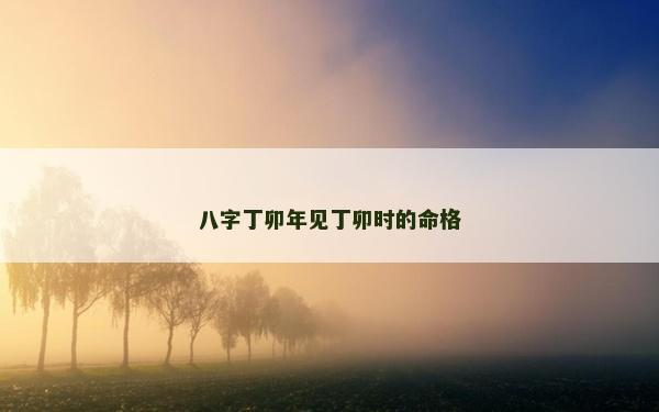 八字丁卯年见丁卯时的命格