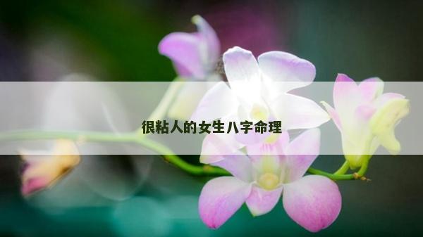 很粘人的女生八字命理