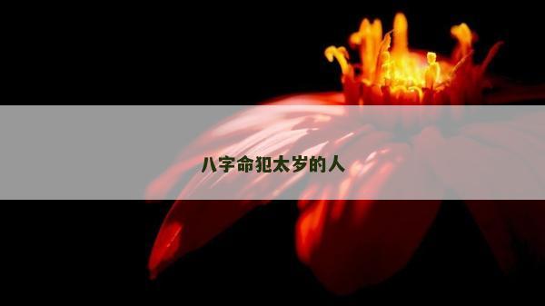 八字命犯太岁的人