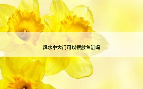 风水中大门可以摆放鱼缸吗