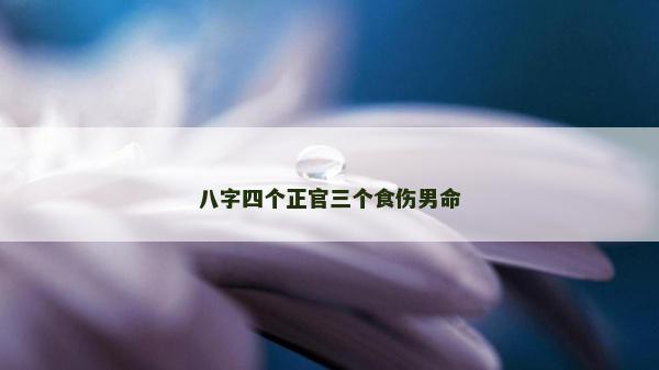 八字四个正官三个食伤男命
