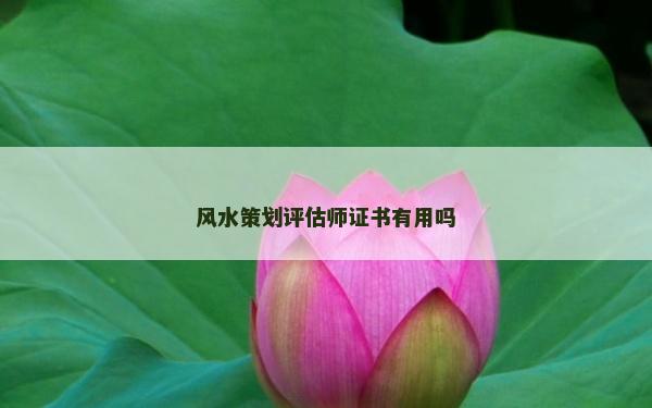 风水策划评估师证书有用吗