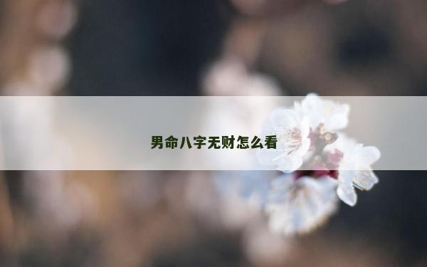 男命八字无财怎么看