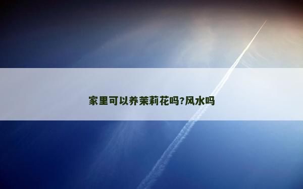 家里可以养茉莉花吗?风水吗