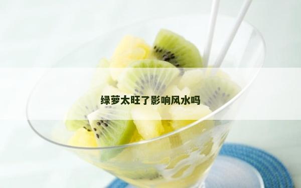 绿萝太旺了影响风水吗