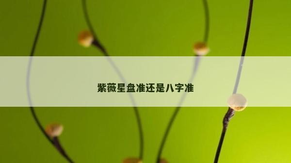 紫薇星盘准还是八字准