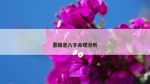 恩格思八字命理分析