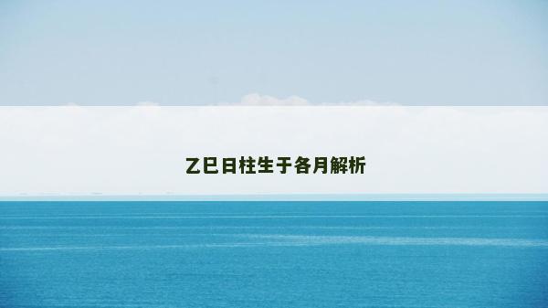 乙巳日柱生于各月解析