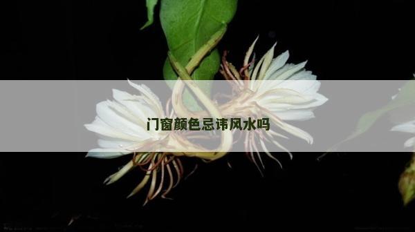 门窗颜色忌讳风水吗