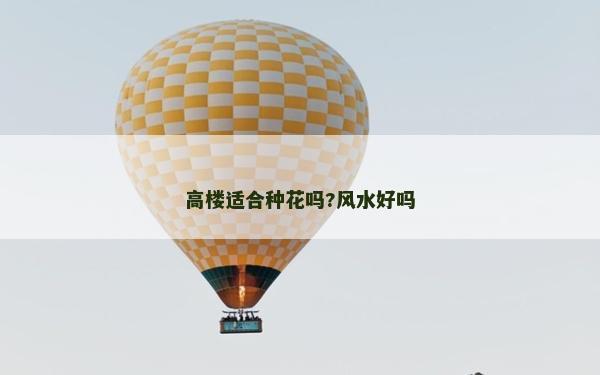 高楼适合种花吗?风水好吗