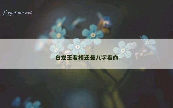白龙王看相还是八字看命