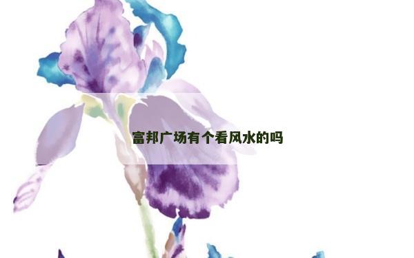富邦广场有个看风水的吗