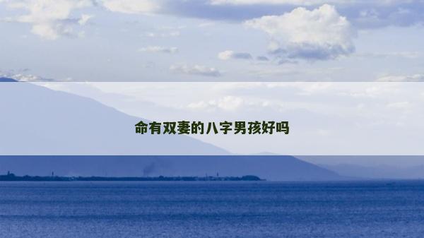 命有双妻的八字男孩好吗