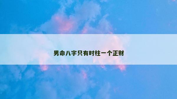 男命八字只有时柱一个正财