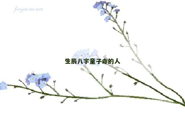 生辰八字童子命的人