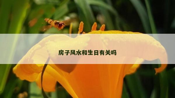 房子风水和生日有关吗