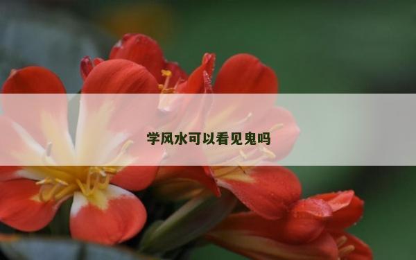 学风水可以看见鬼吗