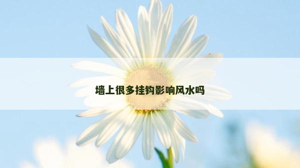 墙上很多挂钩影响风水吗