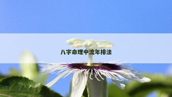 八字命理中流年排法