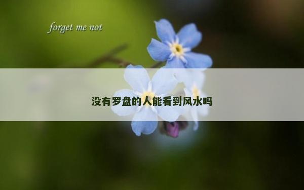 没有罗盘的人能看到风水吗