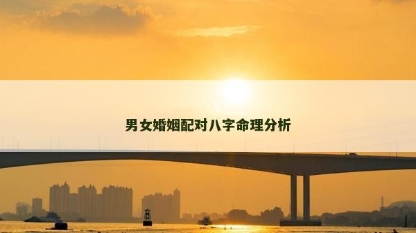 男女婚姻配对八字命理分析