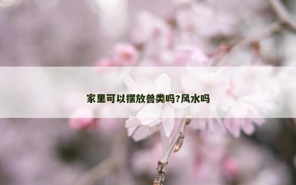 家里可以摆放兽类吗?风水吗