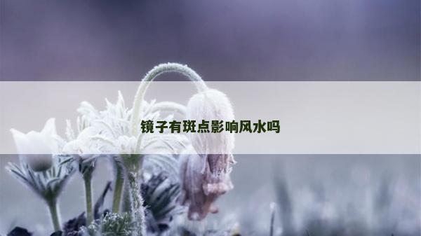 镜子有斑点影响风水吗