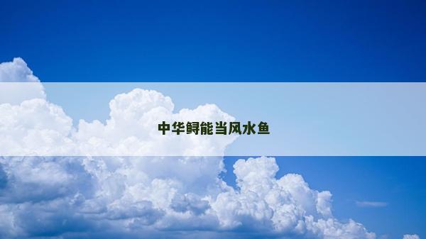 中华鲟能当风水鱼
