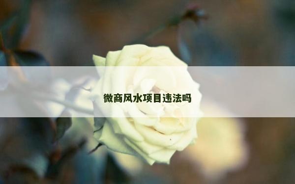 微商风水项目违法吗