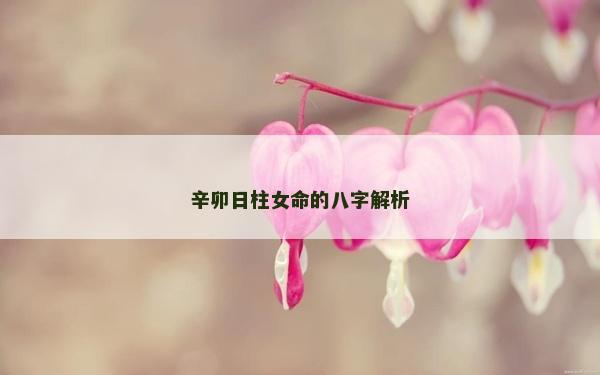 辛卯日柱女命的八字解析