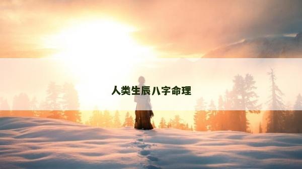 人类生辰八字命理