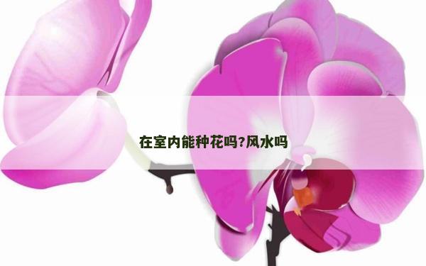 在室内能种花吗?风水吗