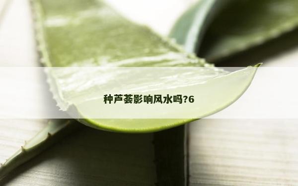 种芦荟影响风水吗?6