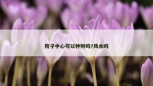 院子中心可以种树吗?风水吗