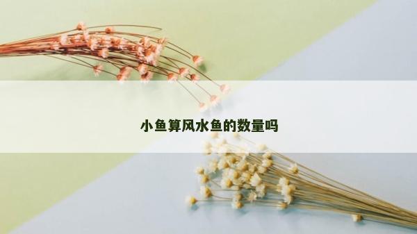 小鱼算风水鱼的数量吗