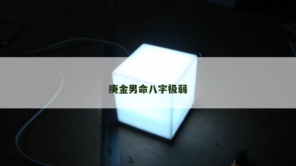 庚金男命八字极弱