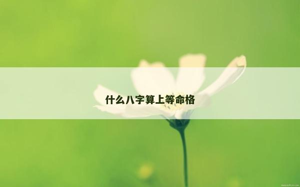 什么八字算上等命格