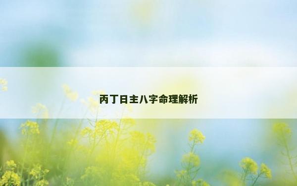 丙丁日主八字命理解析