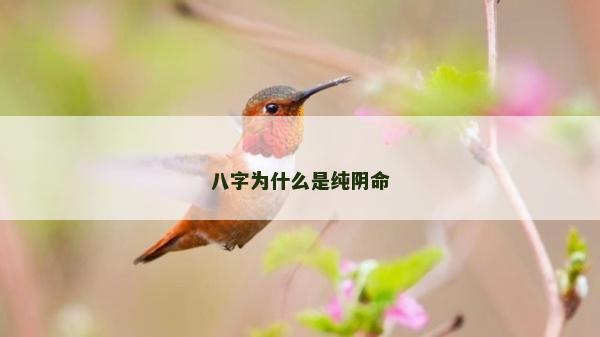 八字为什么是纯阴命
