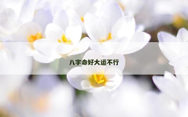 八字命好大运不行