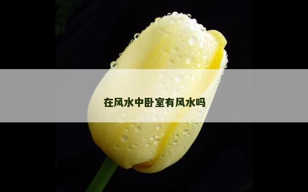 在风水中卧室有风水吗
