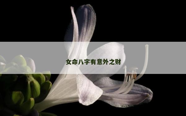 女命八字有意外之财