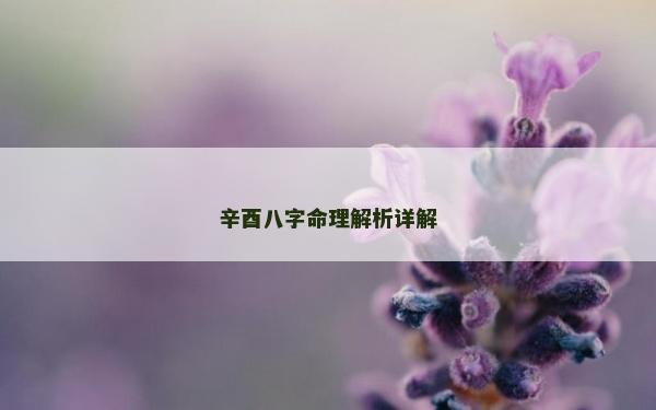 辛酉八字命理解析详解