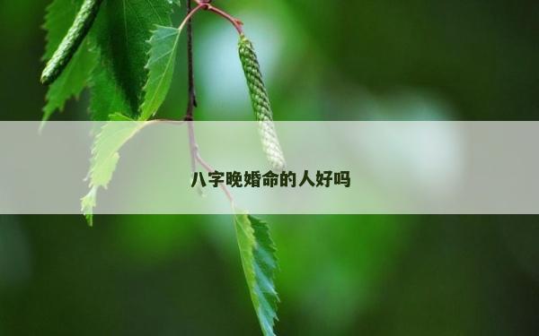 八字晚婚命的人好吗