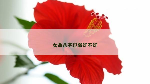 女命八字过弱好不好