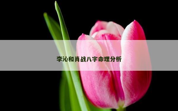 李沁和肖战八字命理分析