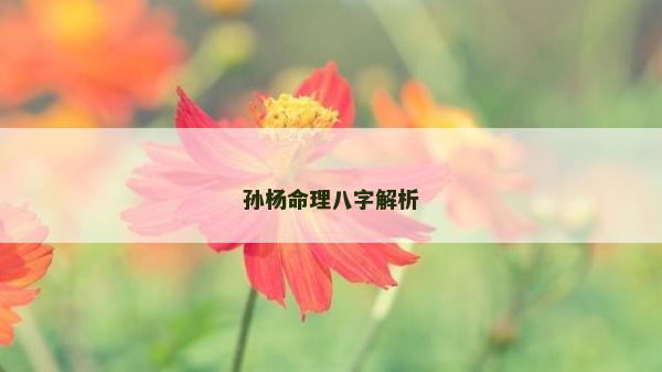 孙杨命理八字解析