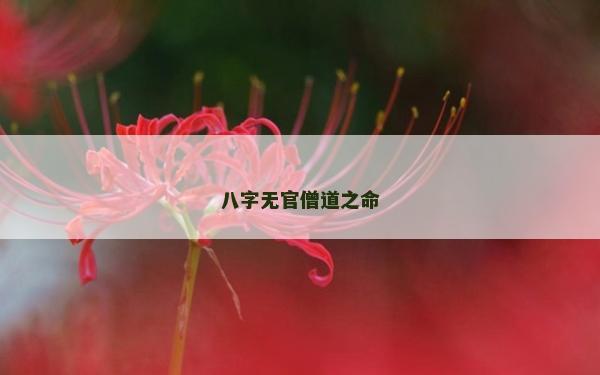 八字无官僧道之命